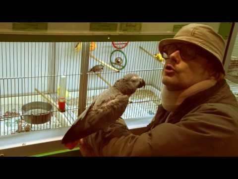 Stereo Total - Du bist gut zu Vögeln