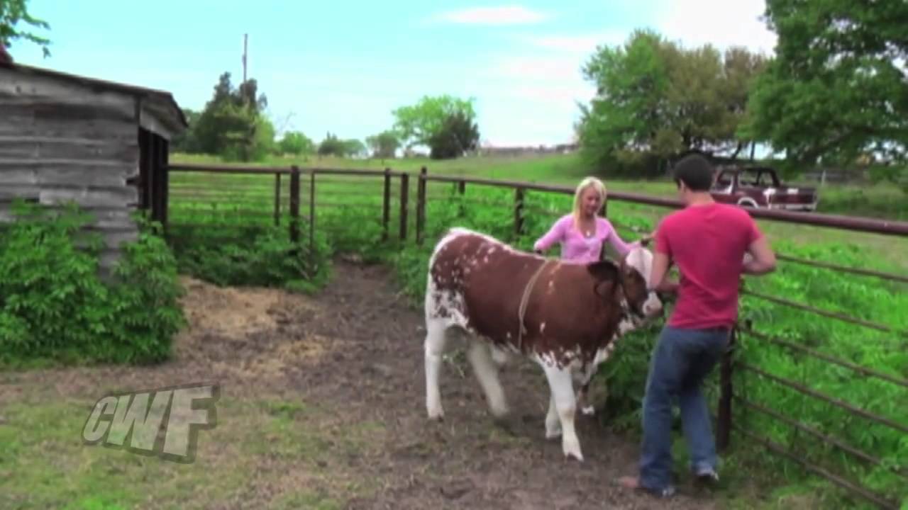 CuteWinFail Ep. 77: Pervert Parrot Invades the Underwear Drawer