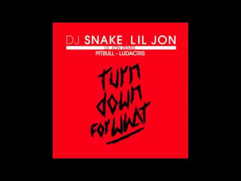 DJ Snake Feat Lil Jon & Pitbull & Ludacris (Remix)