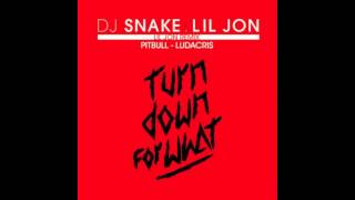 DJ Snake Feat Lil Jon &amp; Pitbull &amp; Ludacris (Remix)