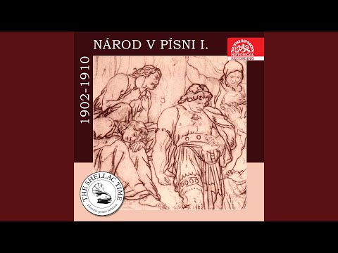 Takú som si frajeročku