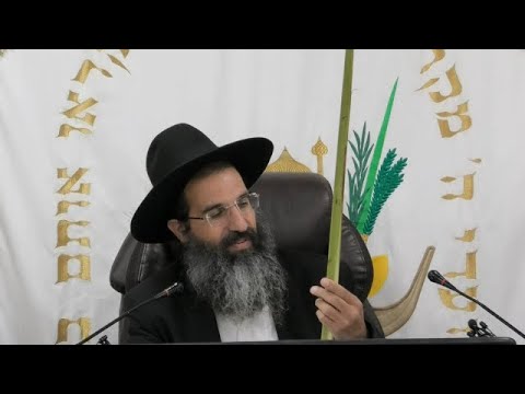 ארבעת המינים 🍋 כשרות ומחיר | הרב שי עובד | שני - פרשת האזינו - תשפו