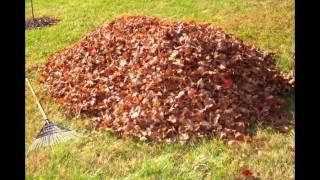 preview picture of video 'Leaf Pickup in Green Ohio 44720 | Fall Leaves Collection | Alpine Landscaping'