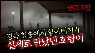 경북의 청송에서 할아버지가 실제로 만났던 호랑이