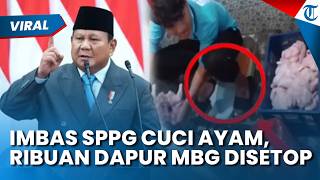 Imbas Ulah SPPG Bogor Cuci Ayam di WC Berujung Teguran Presiden, Ribuan Dapur Disetop