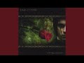Dying Beauty (Martin Atkins Remix)