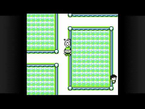 Pokemon Yellow - Episode 10 : The road to Fuchsia City