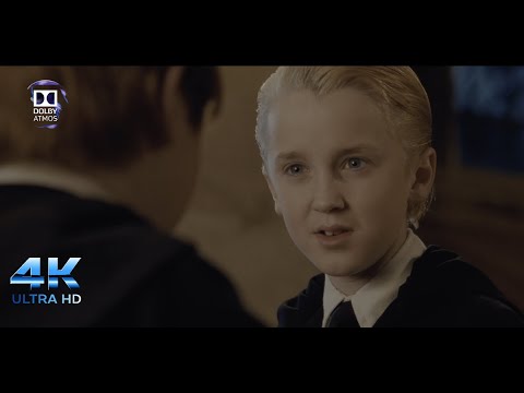 You must be a Weasley Harry Potter and the Sorcerer's Stone"4K Dolby Atmos""