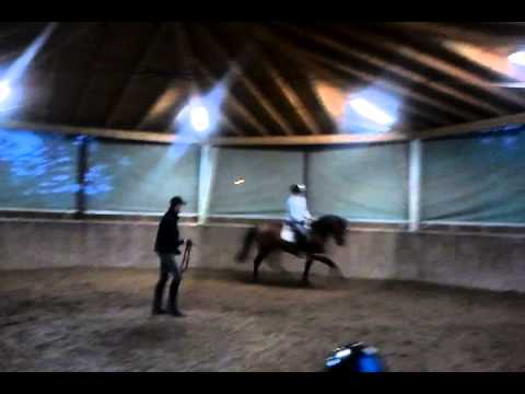 Dsp Araldik/saccor/ 2