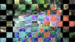 Blue Monk - Chick Corea.