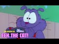 Eek The Cat HawaiiEek 5 0