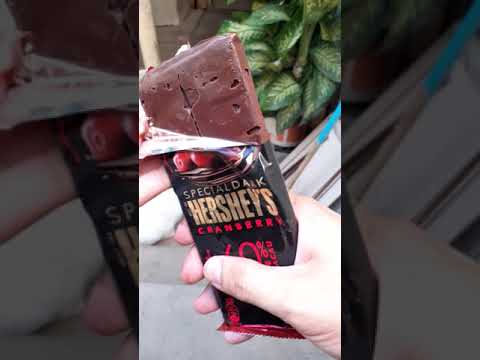 Hershey's Special Dark Cranberry 60% Cacau🍫😋🤤 #Shorts