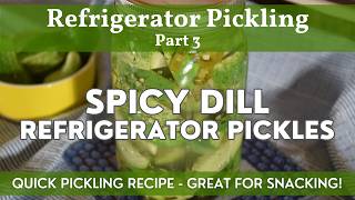 Spicy Dill Refrigerator Pickles | Refrigerator Pickling Part 3 | Homemade Pickles Without Canning!