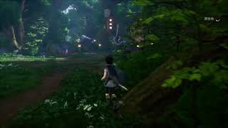 ケーナ精霊の橋初見プレイ