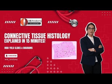 Connective Tissue Histology Explained | High-Yield Slides & Diagrams