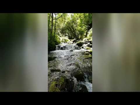 Sleeping video music |Nature |