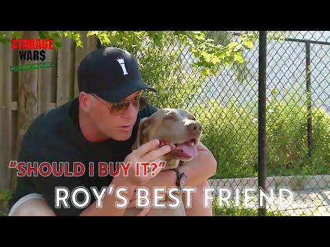 Bring Your Dog To The Auction Day?! | Full Episode