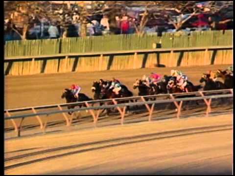 Cigar - 1994 NYRA Mile Handicap (G1)