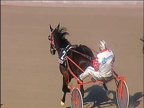 Trotto 03/01/2020 - 2ª corsa