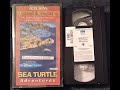 Audubon S Animal Adventures Sea Turtle Adventures