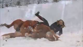 Это не лошадь - это беда...