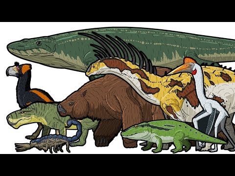 PREHISTORIC LIFE | Animated Size Comparison
