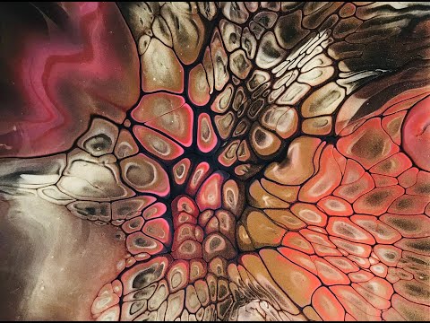 (373) Bloom Technique ~ Shelee Art TLP   ~ Acrylic Fluid Painting