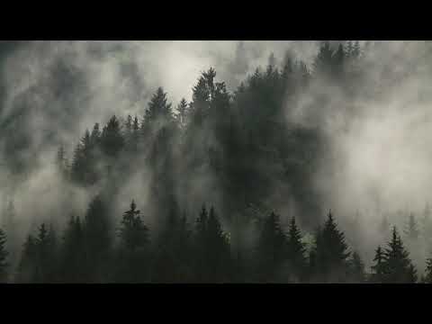 Crows Labyrinth -  All Hope Is Not Lost