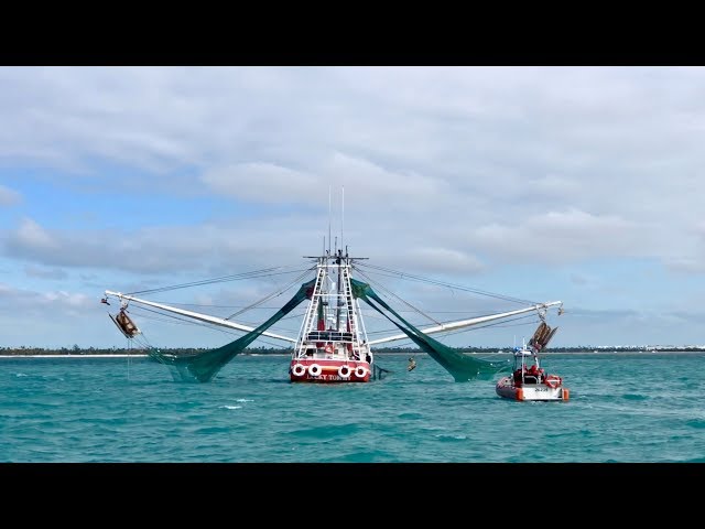 Sailing through DOZENS of Shrimp Boats Dry Tortugas to Marathon