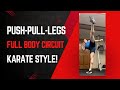 Push-Pull-Legs Full Body Conditioning (Karate Style!)