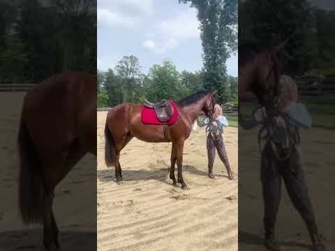 Henri video 2