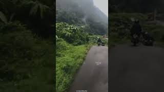 Download lagu Aku ra ngurus dapuranmu 😌 mp3 Download lagu Aku ra ngurus dapuranmu 😌 mp3