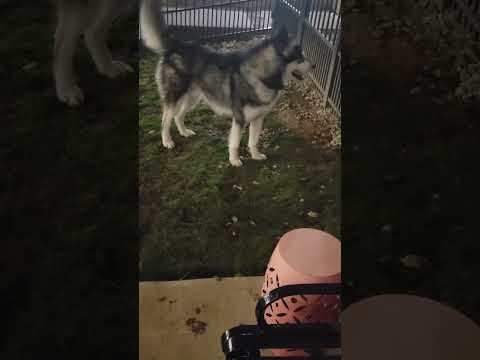 #leo is back with us.