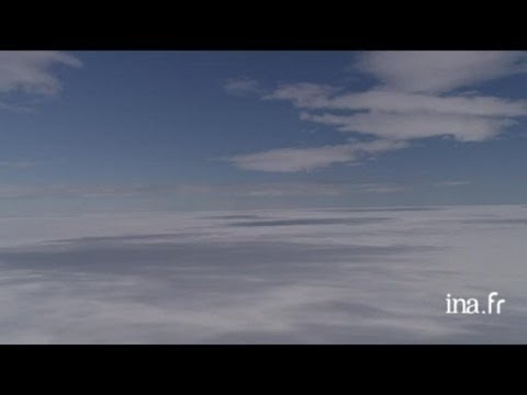 Canada : ours polaire sur la banquise