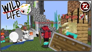 TangoTek's recent Youtube video thumbnail