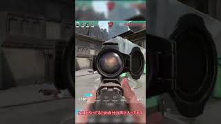 VALORANTのことを右も左もわかってない人によるSRキル#Shorts