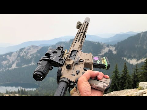 Radian Weapons Model 1 Rifle (Top Tier Rifle)