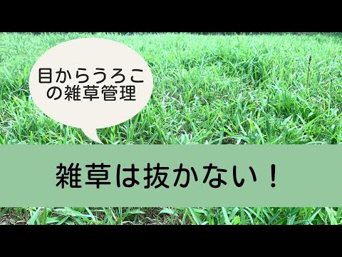 なぜ雑草を再利用するのか 種子、根茎、挿し木、匍匐茎、要因
