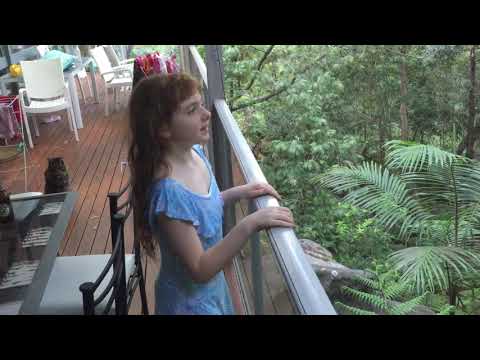 Emily shows you our Powerful Owl