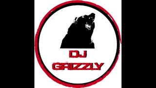 DJ GrizzlY -It's grizzly time!