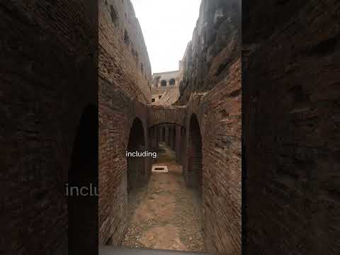 Secret Underground Tour of the Roman Colosseum #italy #travel #travelvlog