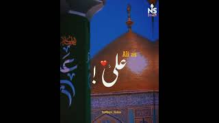 Download lagu 13 Rajab status| Mera mola Haider as | whatsapp status video by Naqvi-sisters mp3