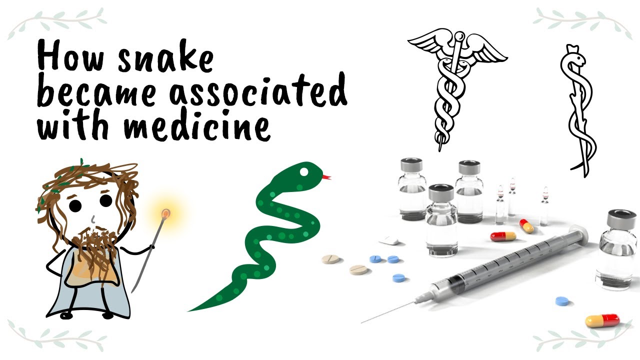Why Does The Nursing Symbol Have Snakes EN General