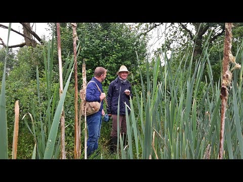 BuitenGewoon 17 juni 2017 | Beekbergerwoud