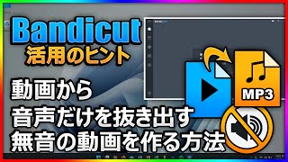【動画から音声を抽出】Bandicutのオーディオトラック機能を徹底解説！