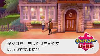 なんやねんこいつ【ポケモン剣盾】＃１０