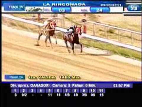 Resumen domingo 9 de enero 2011 - La Rinconada