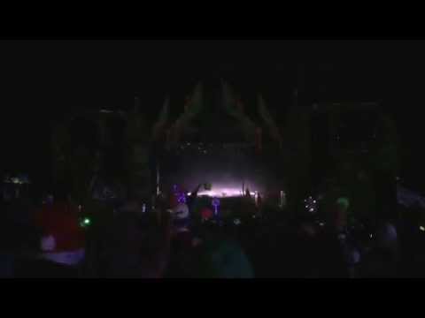 Flux @ Electric Forest 6/15 Encore Party! Can't Get Enough of My Sound