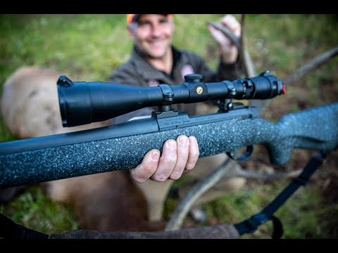 Nosler Rifles: Everything You Need to Know