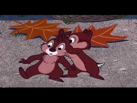 ᴴᴰ Donald Duck & Chip And Dale - Best Cartoons Classic